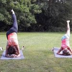 yoga in het onderwijs gras