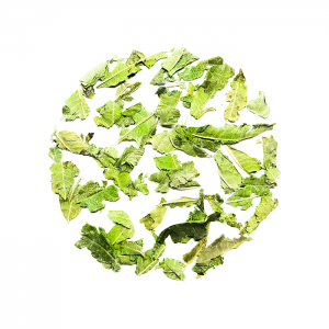 Pure Vervain thee YogaRelax